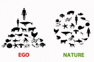 ego-nature